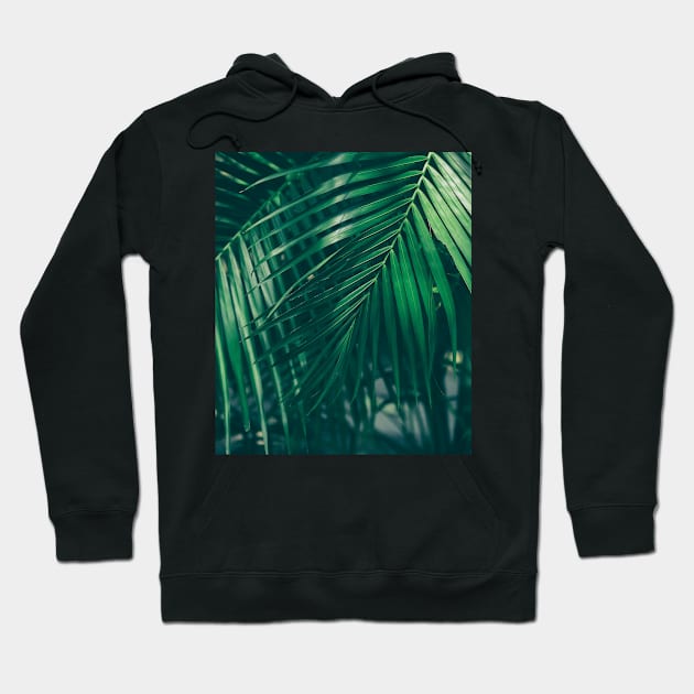 Jungle Palm leaves Hoodie by StylishPrinting